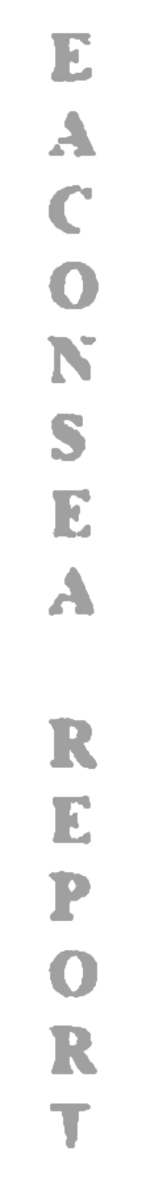 elemento-visuale-grafica-del-testo-eaconsea-report