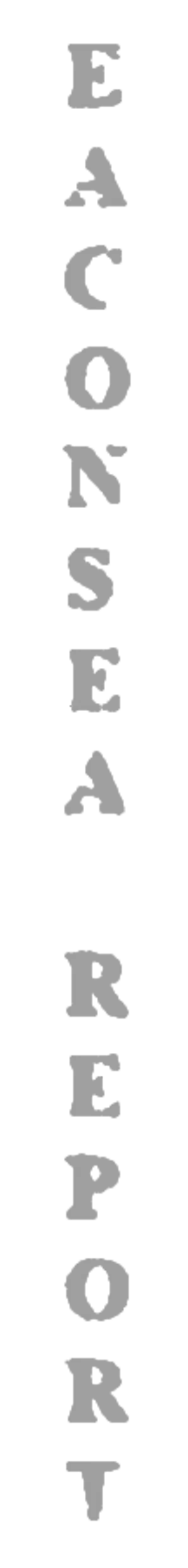 elemento-visuale-grafica-del-testo-eaconsea-report