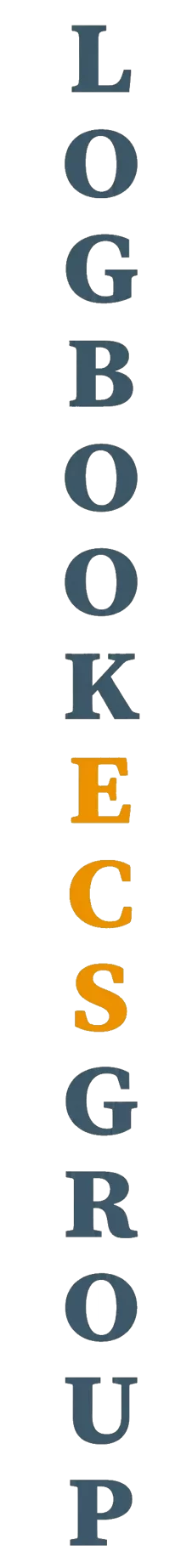 elemento-visuale-grafica-del-testo-logbook-ecs-group