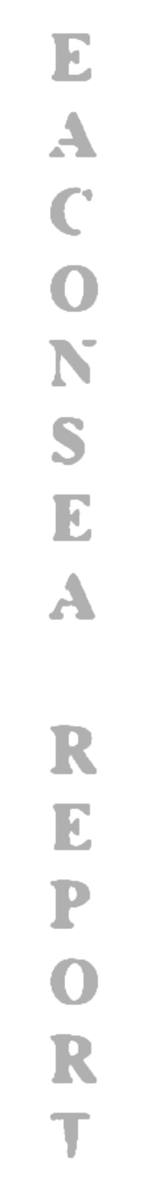 elemento-visuale-grafica-del-testo-eaconsea-report elemento-visuale-grafica-del-testo-eaconsea-report