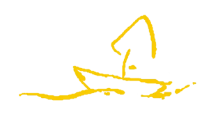 elemento-visuale-barchetta-stilizzata