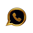 logo-whatsApp-connessione