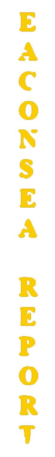 visual-element-eaconsea-report-text-graphics