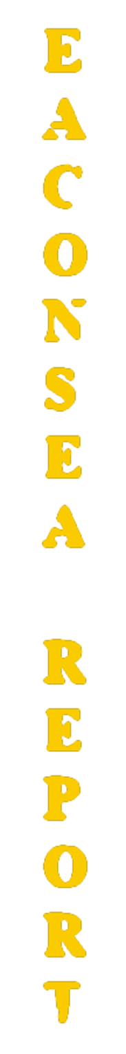 elemento-visuale-eaconsea-report-text-graphics