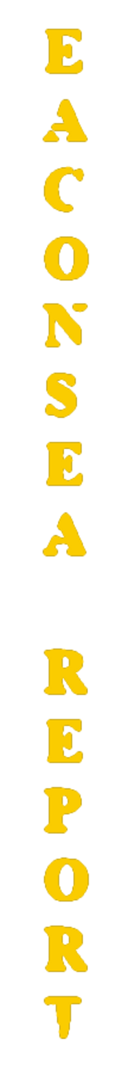 elemento-visuale-grafica-del-testo-eaconsea-report elemento-visuale-grafica-del-testo-eaconsea-report