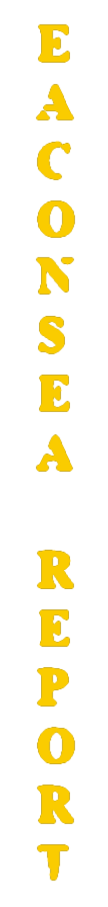 elemento-visuale-grafica-del-testo-eaconsea-report