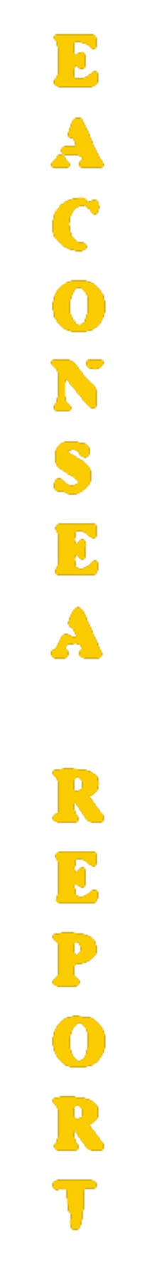 elemento-visuale-grafica-del-testo-eaconsea-report elemento-visuale-grafica-del-testo-eaconsea-report