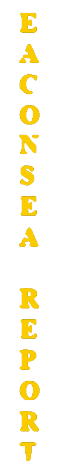 elemento-visuale-grafica-del-testo-eaconsea-report