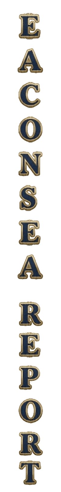 elemento-visuale-grafica-del-testo-eaconsea-report