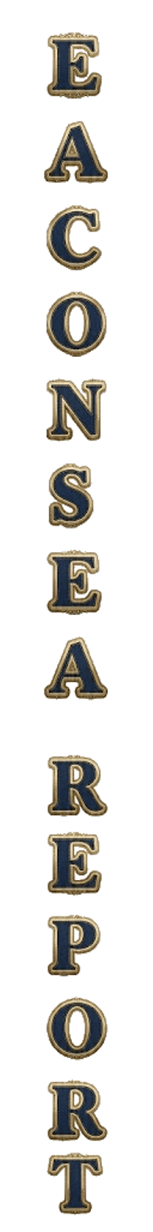 elemento-visuale-grafica-del-testo-eaconsea-report