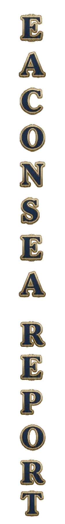 elemento-visuale-grafica-del-testo-eaconsea-report