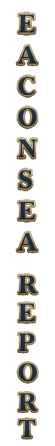 visual-element-eaconsea-report-text-graphics