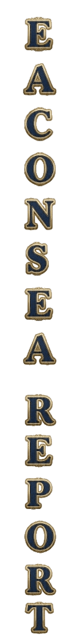 visual-element-eaconsea-report-text-graphics