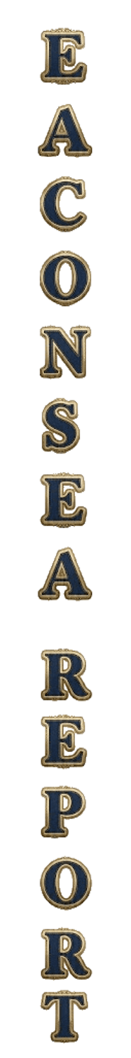 visual-element-eaconsea-report-text-graphics