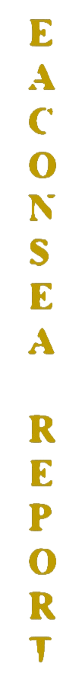 elemento-visuale-immagine-del-testo-eaconsea-report