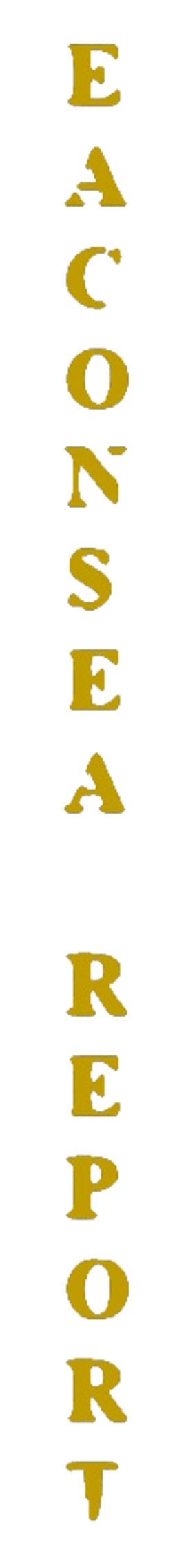 elemento-visuale-grafica-del-testo-eaconsea-report