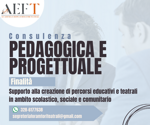 consulenza-pedagogica-e-progettuale-individuale
