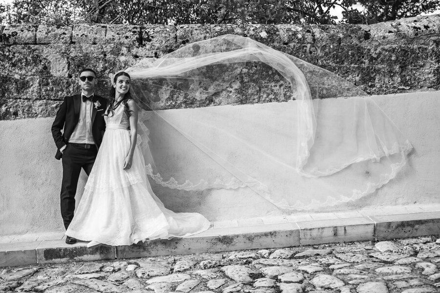 _npb4590.jpeg _npb4590.jpeg