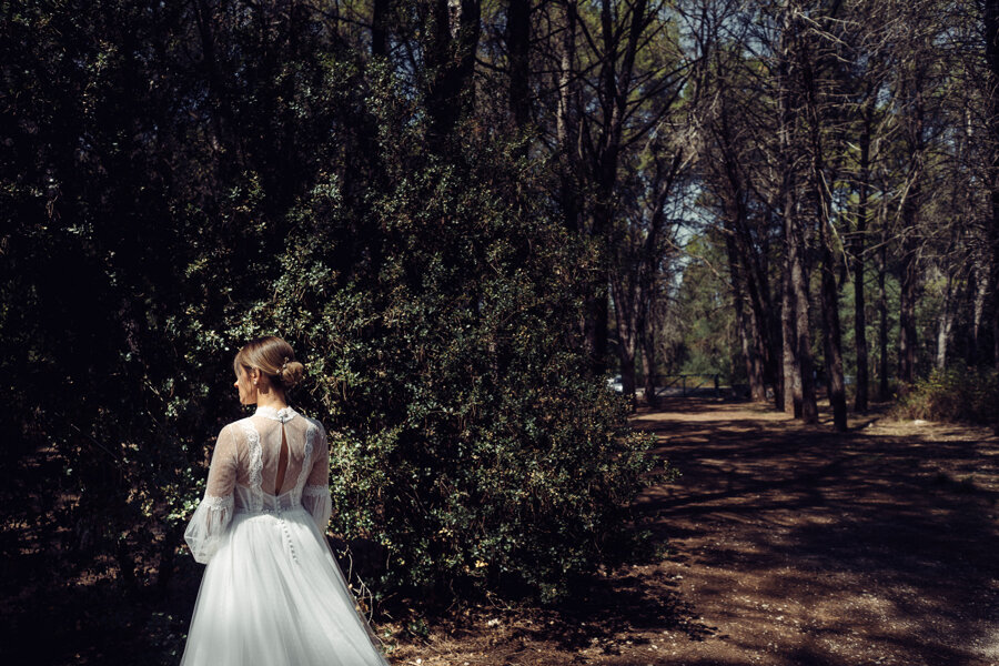 np24_3114.jpeg np24_3114.jpeg