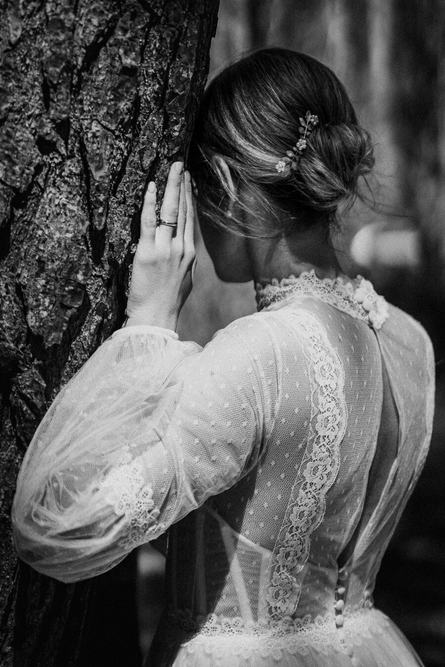 np24_7320.jpeg np24_7320.jpeg