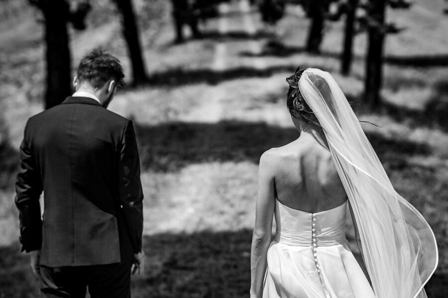 np21_5933.jpeg np21_5933.jpeg