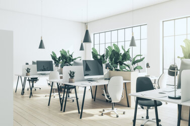 eco-style-sunlit-open-space-office-with-big-flowerpots-with-green-plants-form-partition-cozy-work-places-with-modern-computers-wooden-floor-light-walls-background-3d-rendering.jpeg