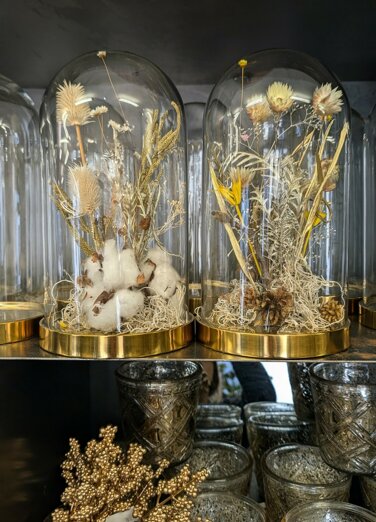 pxl_20251112_103000345.mp~2 (1).jpeg