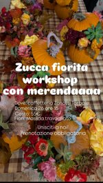 laboratorio-zucca-fiorita