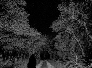 dscf0533%20bw.jpeg