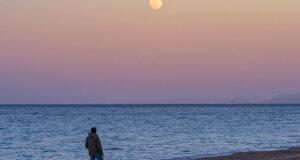 7bd21207-a4e7-4c48-9585-d76970c018f4.jpeg