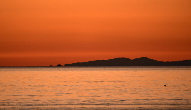 dsc_3778 m.jpeg