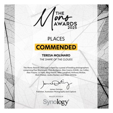 thumbnail_the_mono_awards_2025_1759 (1).jpeg