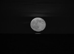 img_20251013_101041.jpeg