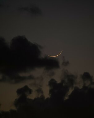 7bd21207-a4e7-4c48-9585-d76970c018f4.jpeg