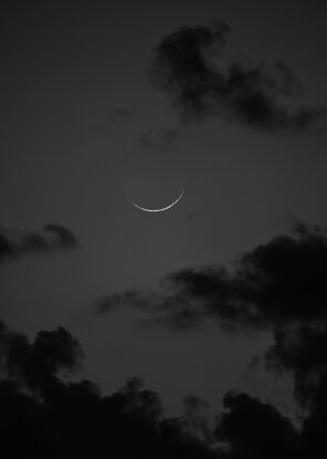 6f19dd50-b12e-4e17-a2ca-d3ad41c4afa3.jpeg