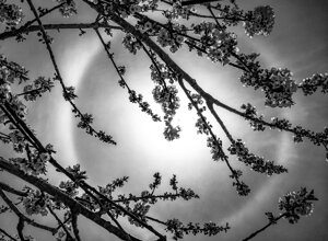 img_20251107_104907.jpeg