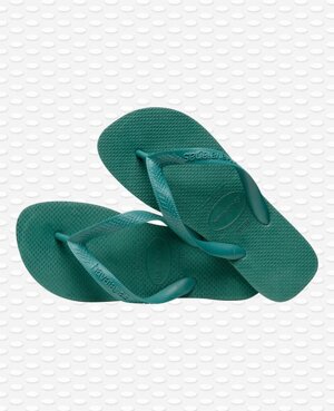 hav-top-colore-green