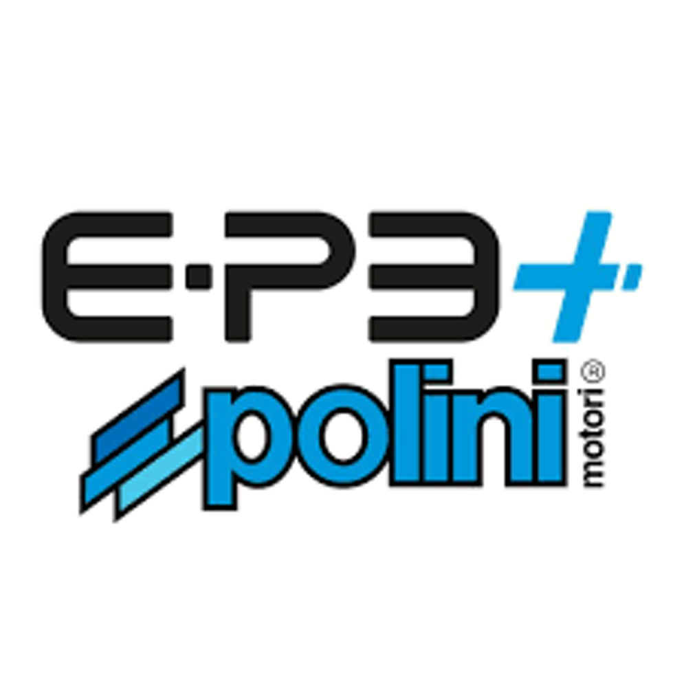 polini polini