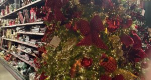 img_0215.jpeg img_0215.jpeg