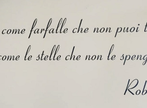 img_9053.jpeg img_9053.jpeg