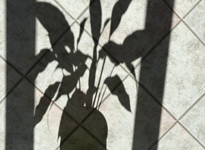 ombra%20di%20sadia.jpeg