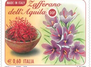 16131@fr08000032b1.jpeg 16131@fr08000032b1.jpeg