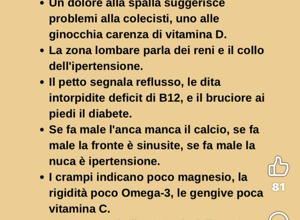 img_9701.jpeg img_9701.jpeg