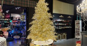 img_0238.jpeg img_0238.jpeg