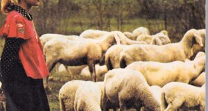 cover_new_04_pagina_22.jpeg cover_new_04_pagina_22.jpeg