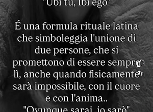 img_0031.jpeg img_0031.jpeg