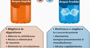 img_9957.jpeg img_9957.jpeg