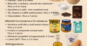 img_9776.jpeg img_9776.jpeg