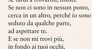 news%20dal%20web%20(35)