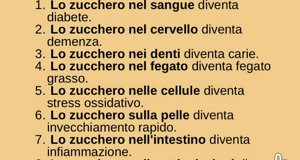 news%20dal%20web%20(13)